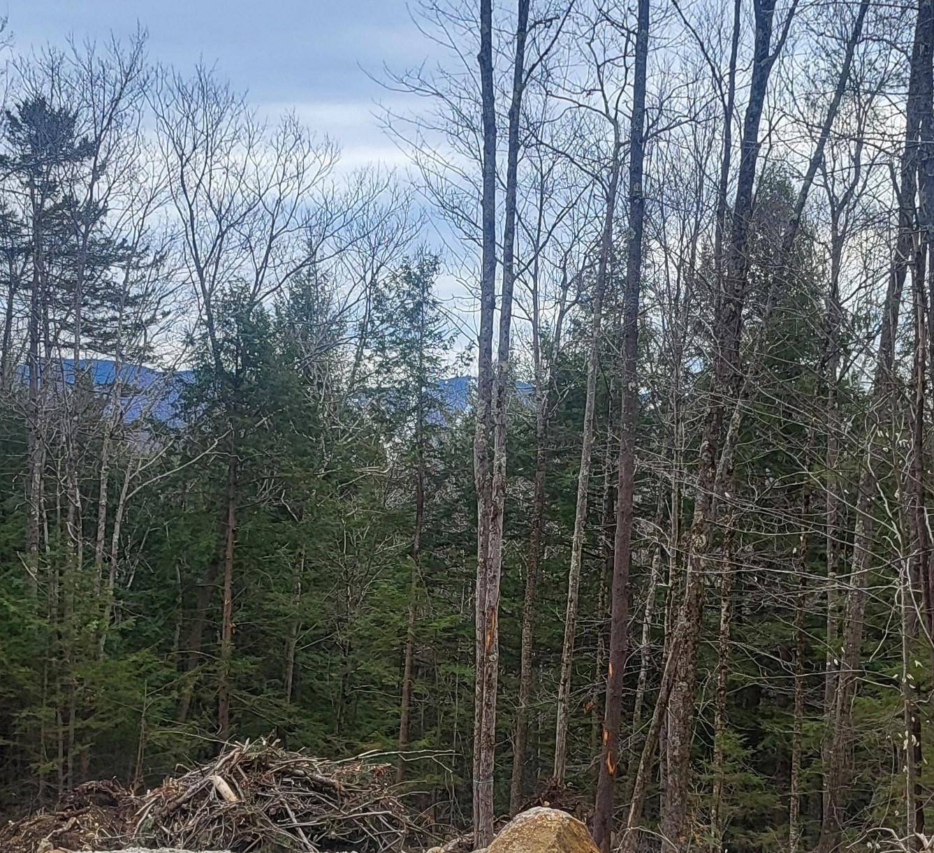 Danbury, NH 03230,410-089-002 Eastern District RD