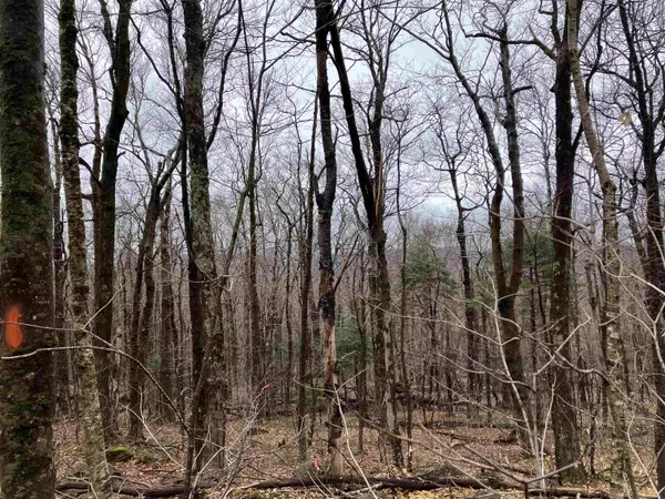Wilmington, VT 05363,410 Fox Mt. RD #M410 & M411
