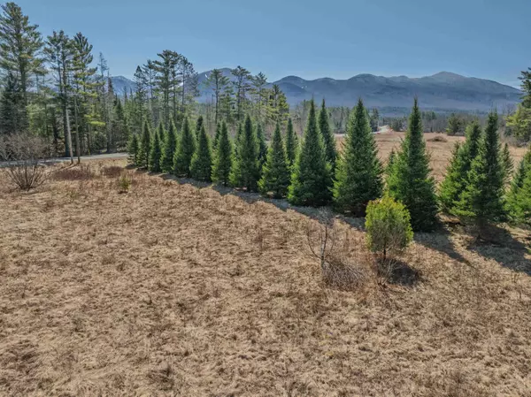 Franconia, NH 03580,25 Lafayette RD