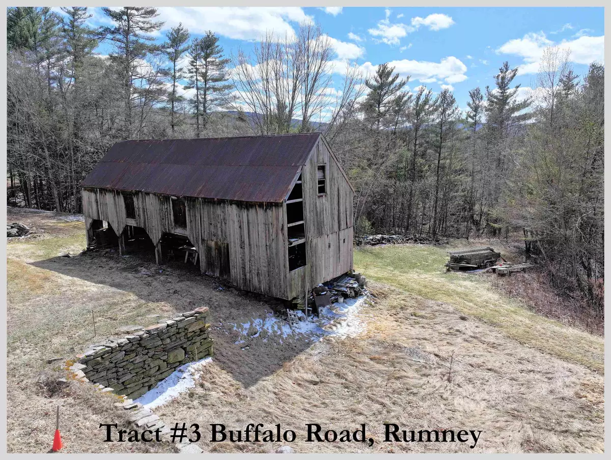 Rumney, NH 03266,Tract 3 Buffalo RD