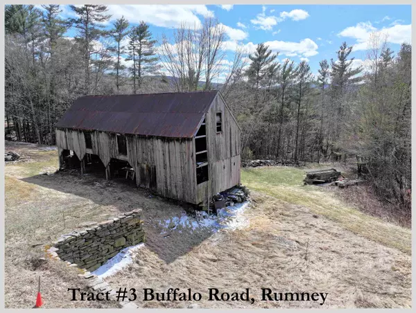 Tract 3 Buffalo RD,  Rumney,  NH 03266