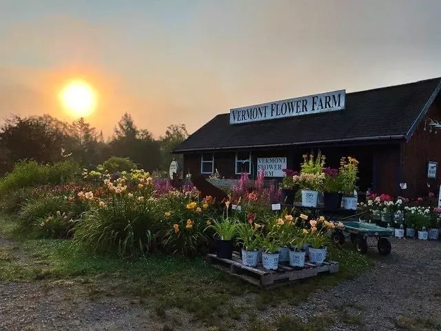 Marshfield, VT 05658-7149,2263 US Route 2