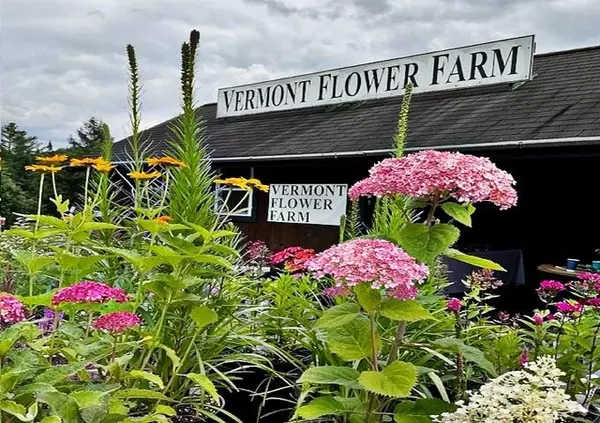 Marshfield, VT 05658-7149,2263 US Route 2