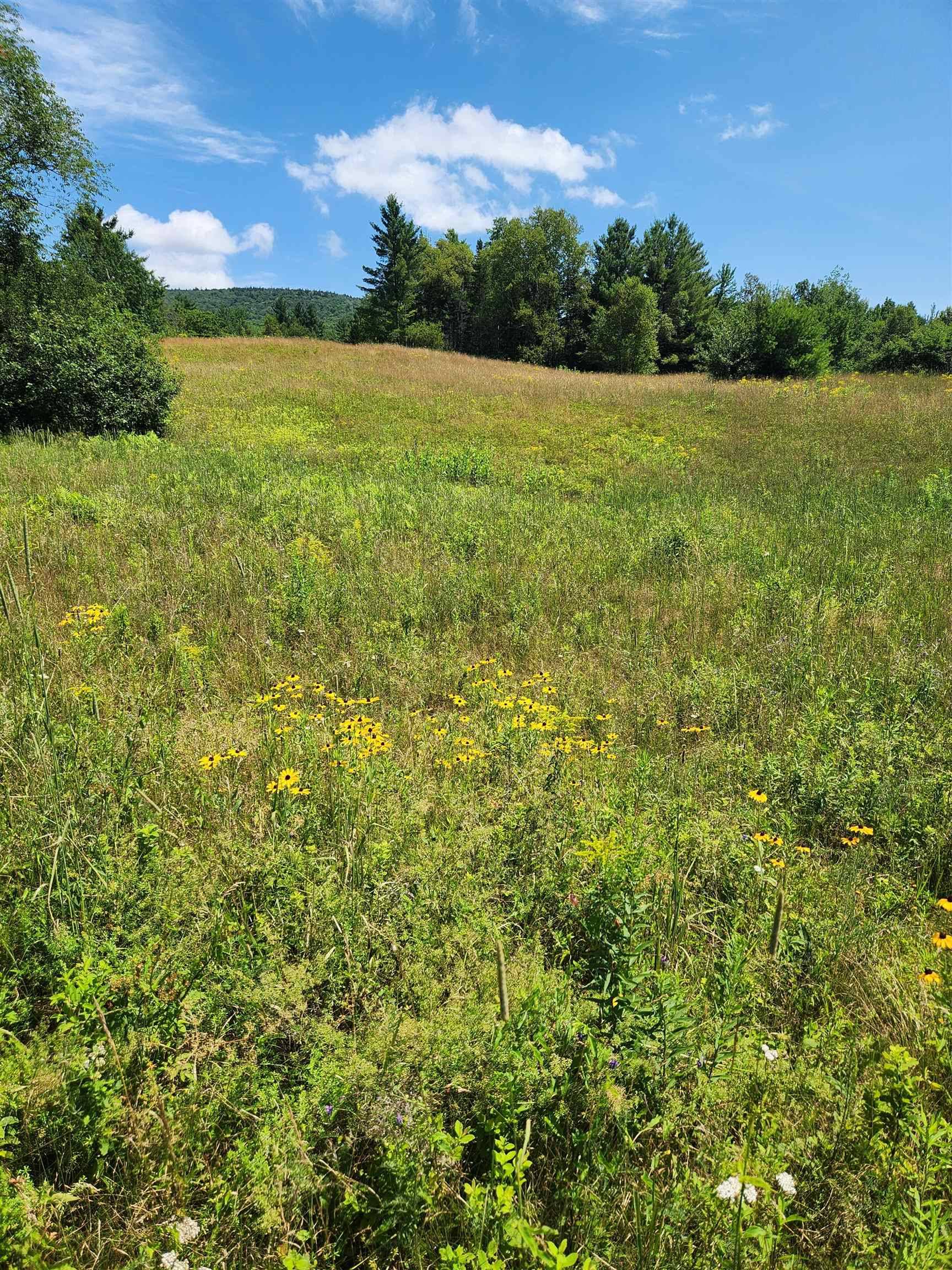 0 Route 115, Carroll, NH 03595