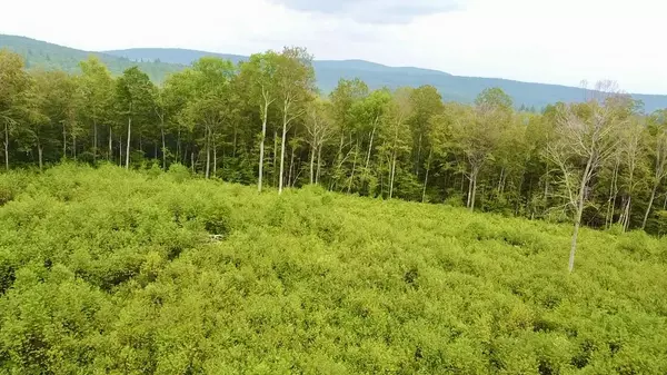 Andover, VT 05143,224 Arrau RD
