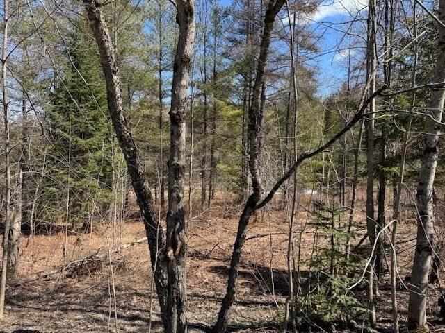 Craftsbury, VT 05826,Townline RD