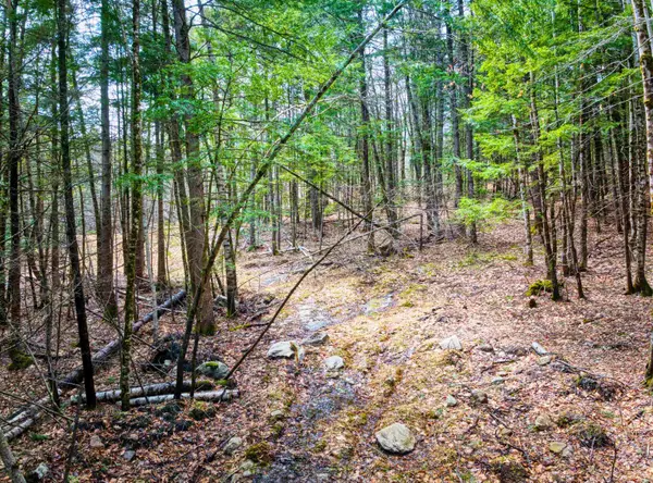 Sutton, NH 03221,Hominy Pot RD