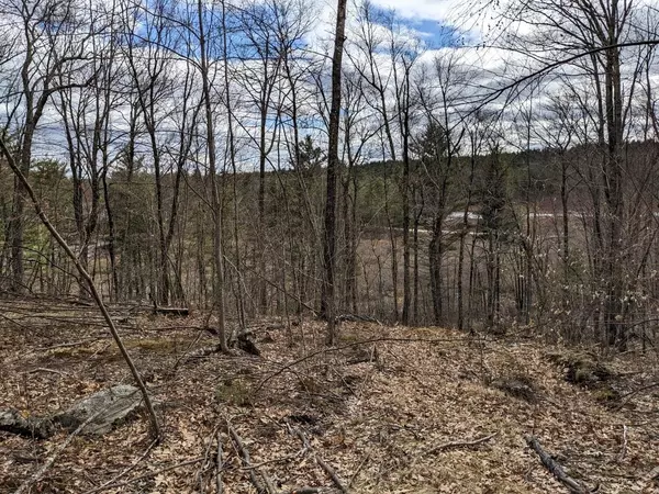 Mont Vernon, NH 03057,00 Brook RD