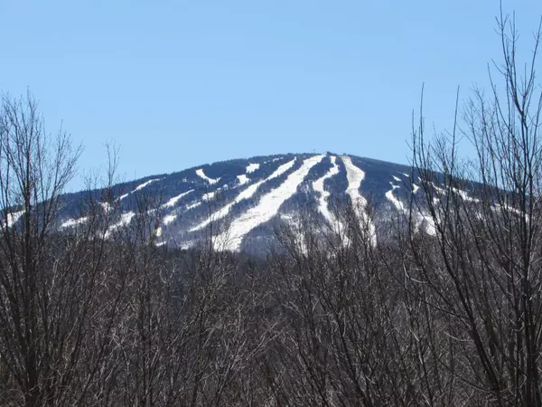 Winhall, VT 05340,50 Stratton View RD