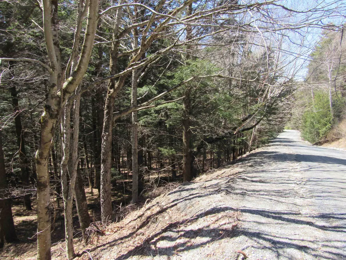 Winhall, VT 05340,0 Stratton View RD #59