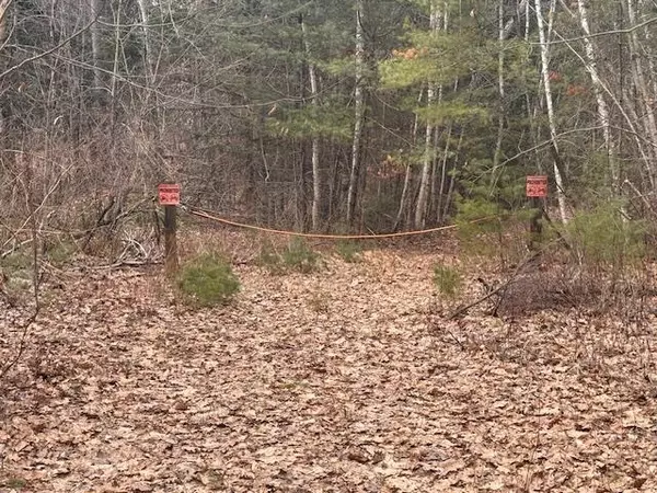 Wentworth, NH 03282,East Side RD