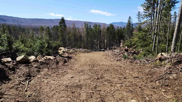 Errol, NH 03579,65 Hall RD