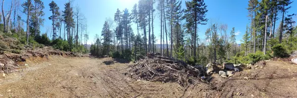 Errol, NH 03579,65 Hall RD