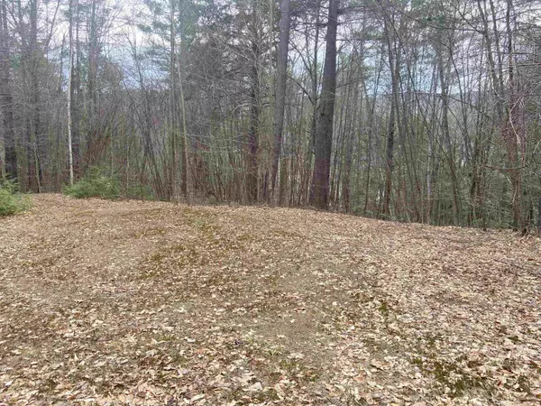 Townshend, VT 05353,1 Berrie LN