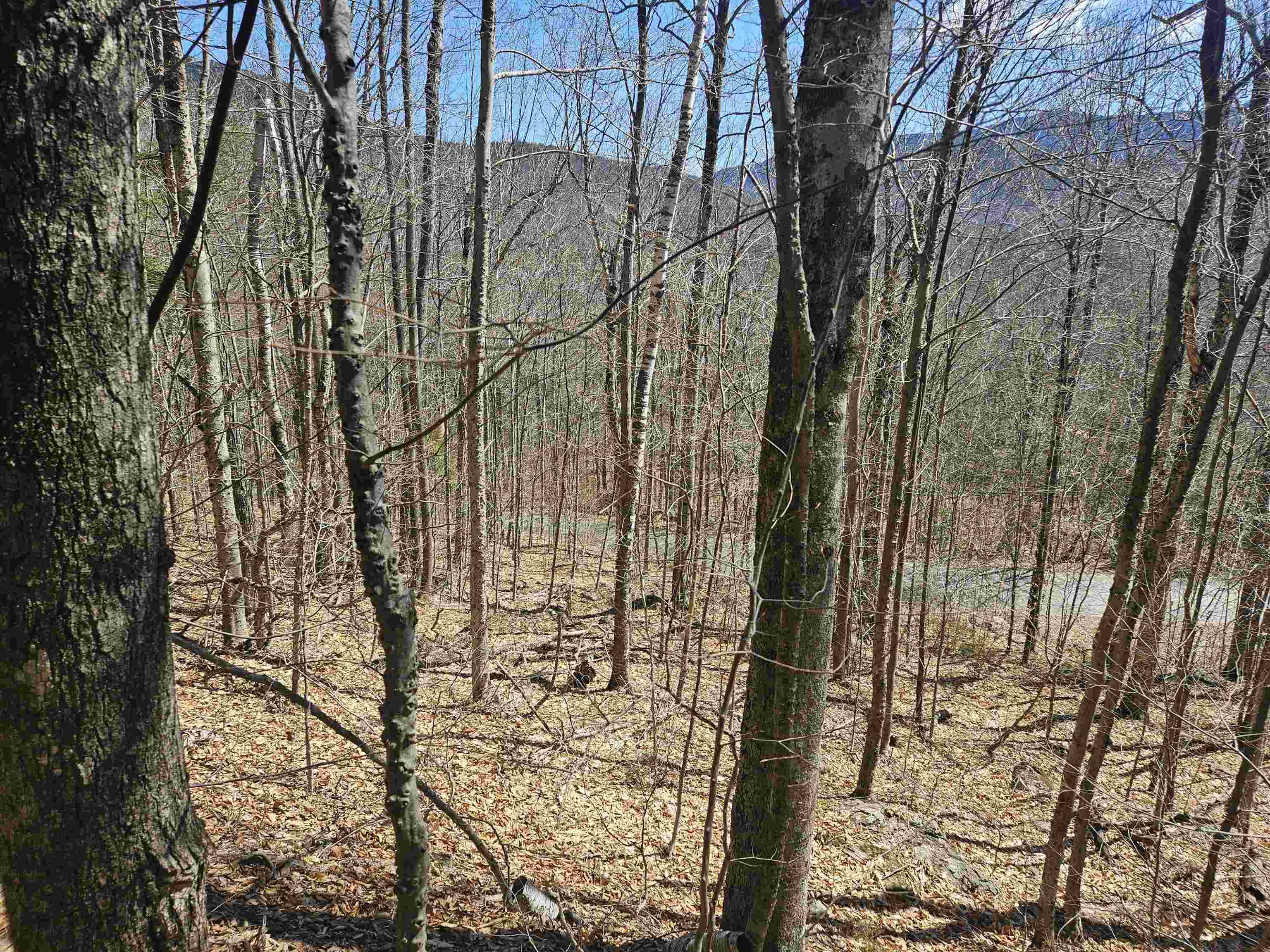Thornton, NH 03285,222-005 Woodwinds DR #222-005