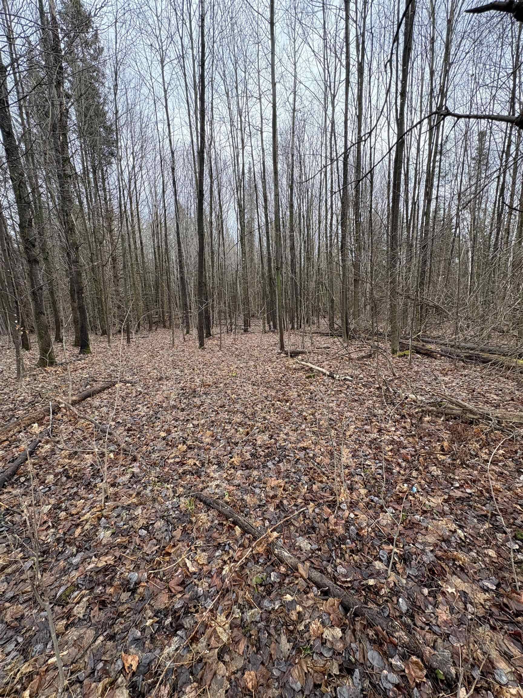 Danville, VT 05828,Partridge LN
