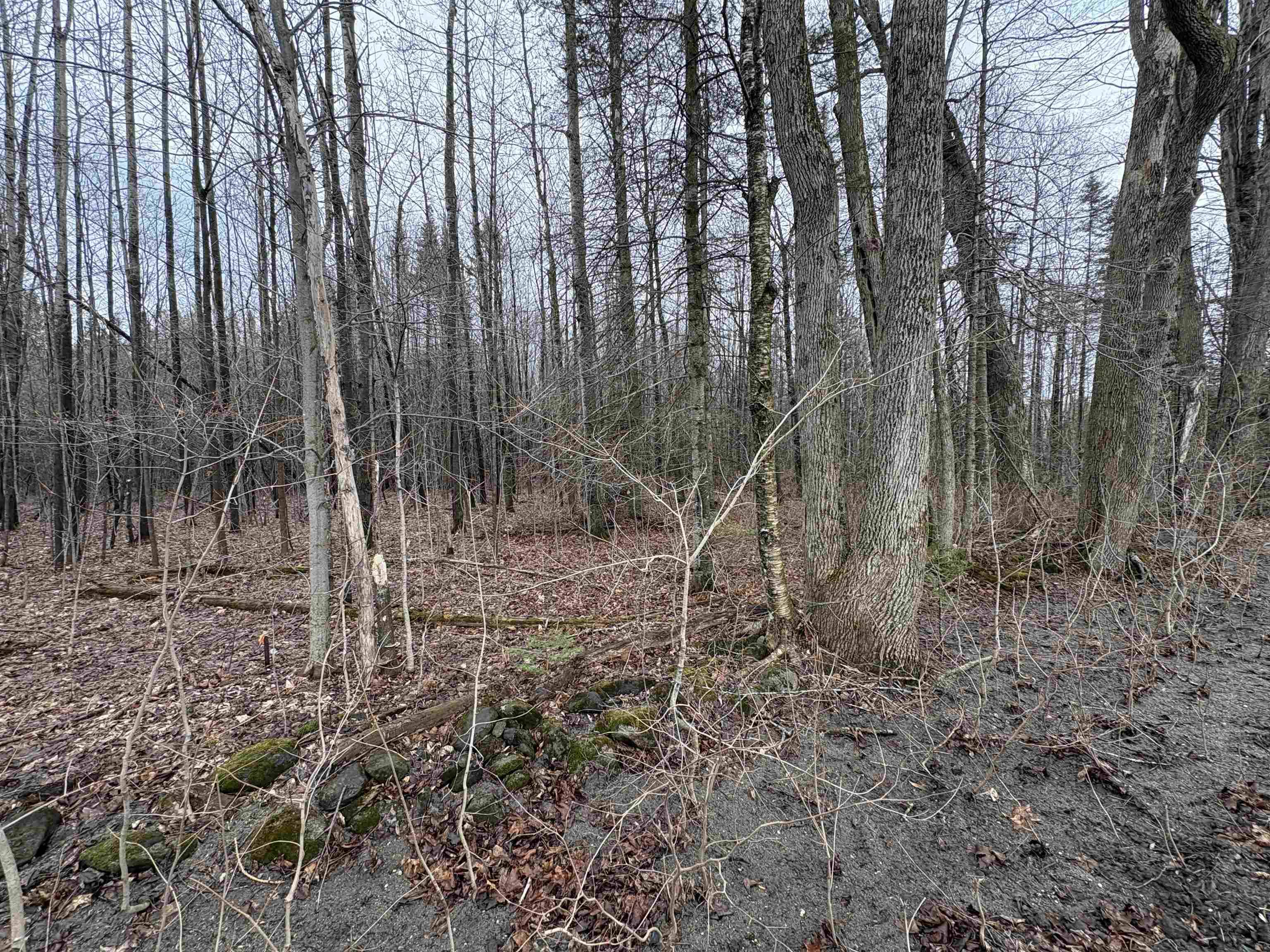 Danville, VT 05828,Partridge LN