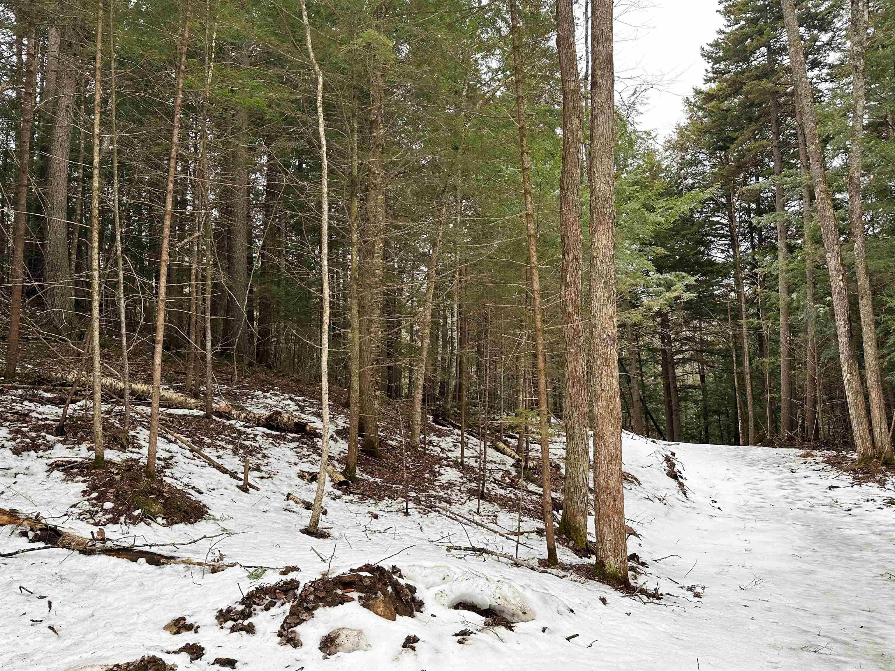 Newbury, VT 05051,0000 Fuller RD
