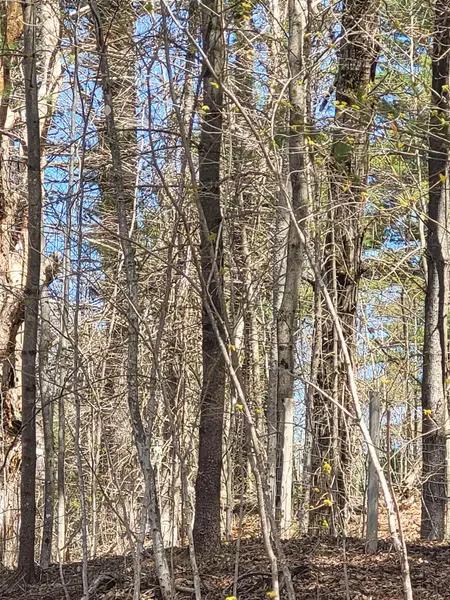 921 Coppermine RD, Corinth, VT 05039