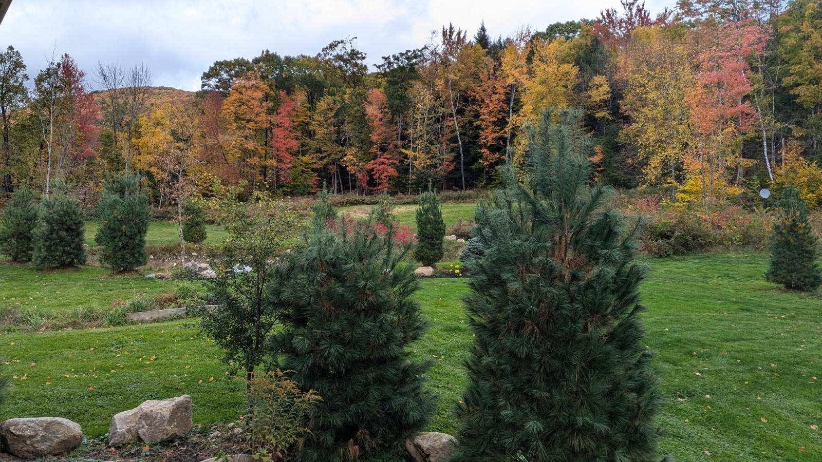 Mendon, VT 05701,435 S Mendon RD