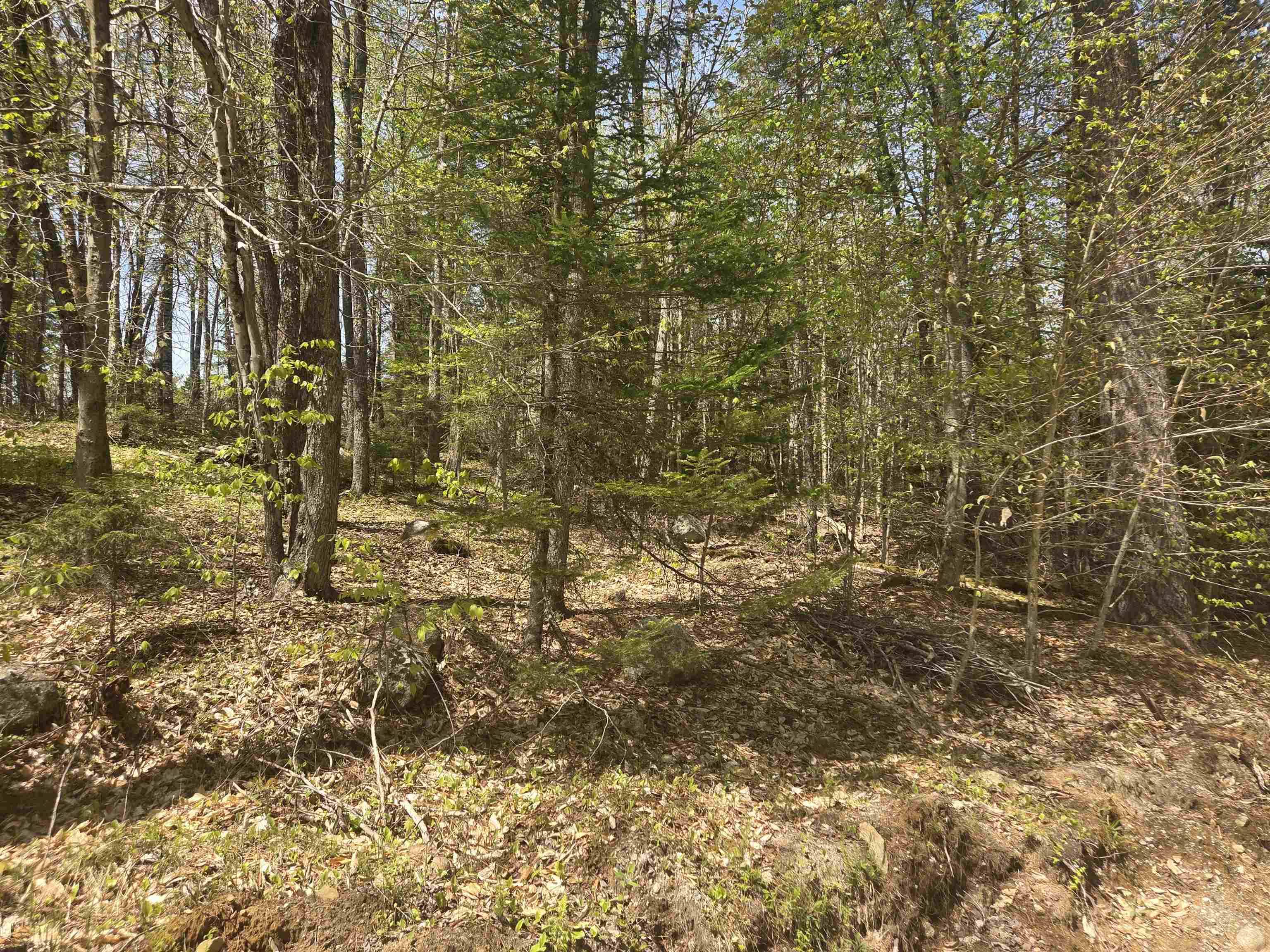 Washington, NH 03280,TBD Cleveland CIR