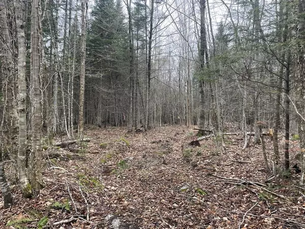 Woodbury, VT 05681,2319 East Hill RD