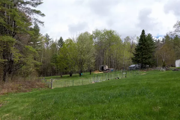 Grafton, NH 03240,51 Barney Hill RD