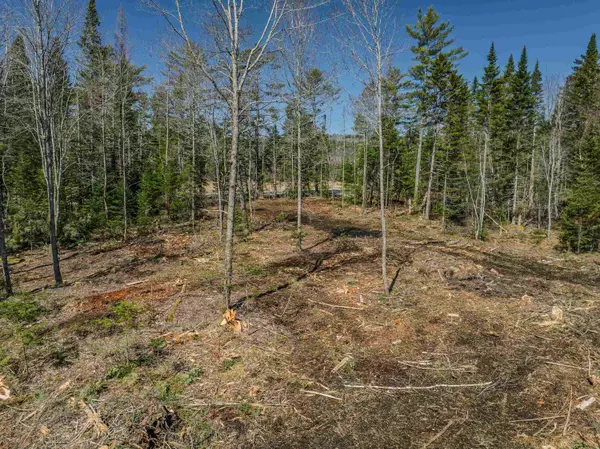 Franconia, NH 03580,000 Easton RD