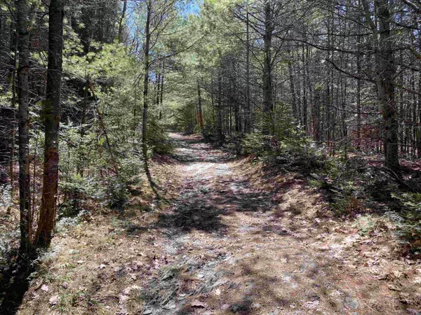 Newbury, VT 05033,Mace RD