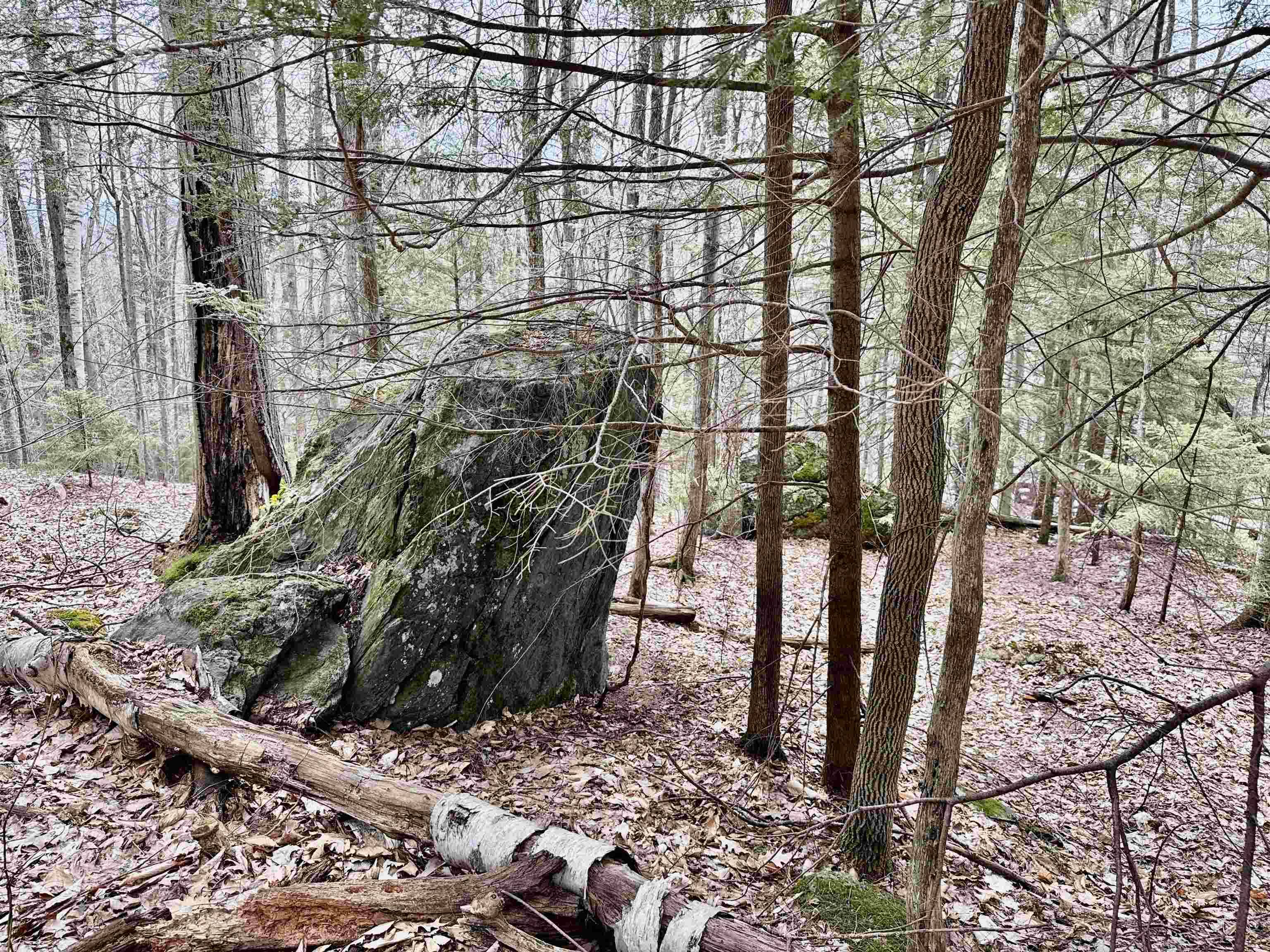 Fletcher, VT 05448,0 Taylor RD
