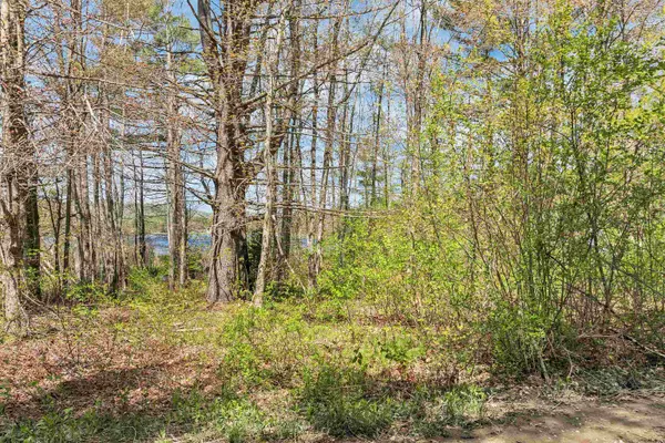 Alton, NH 03809,Lot 17 Baxter PL
