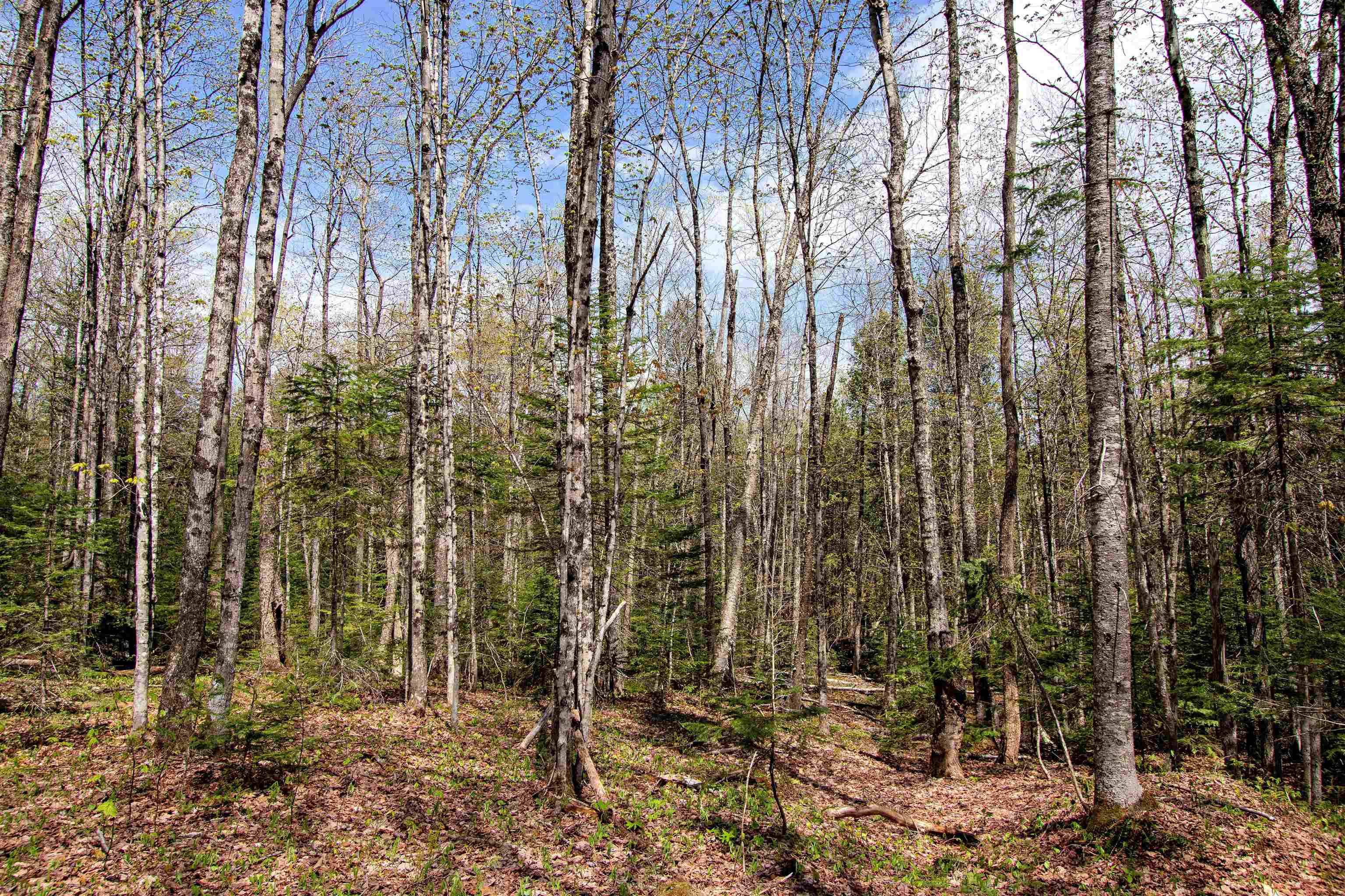 Danville, VT 05828,00 McDowell RD