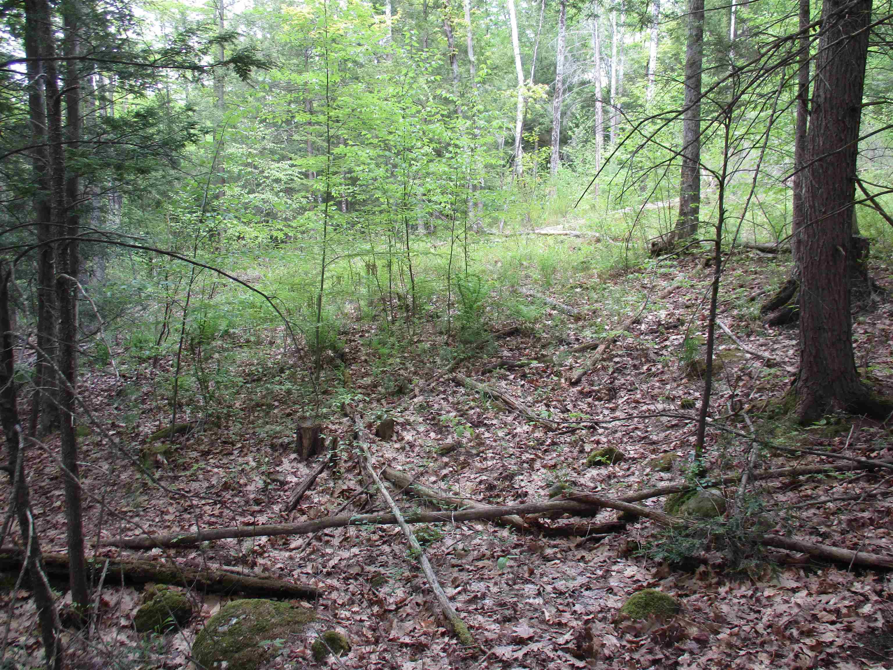 Goffstown, NH 03045,tbt Bog RD