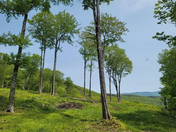 Stowe, VT 05672,817 Wade Pasture RD