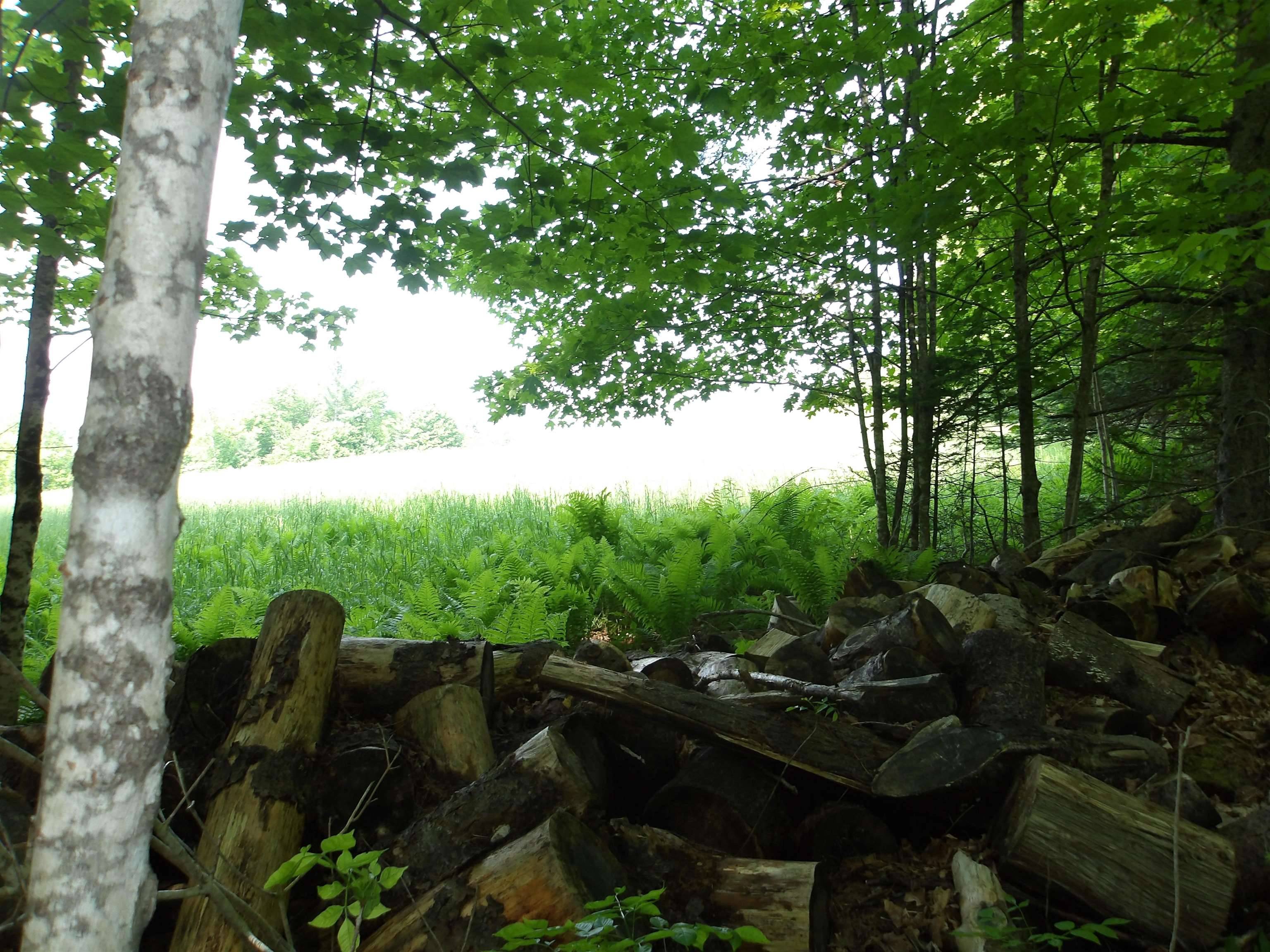 Lyndon, VT 05851,4 & 5 Forest LN