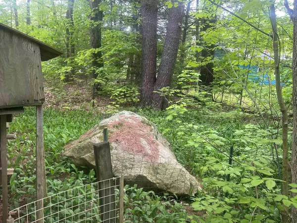 Kingston, NH 03848,89 Main ST