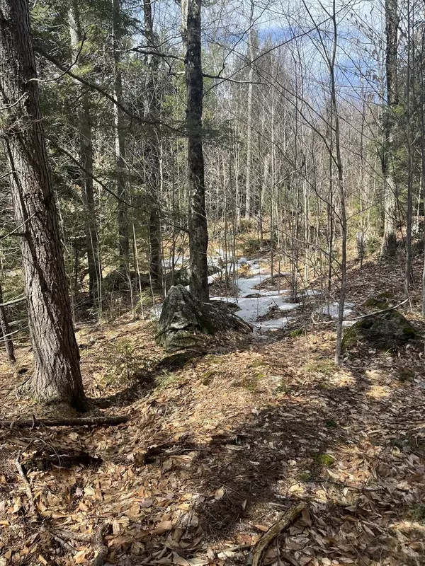 Washington, NH 03280,East Washington RD #Lots 77-6 & 77-7