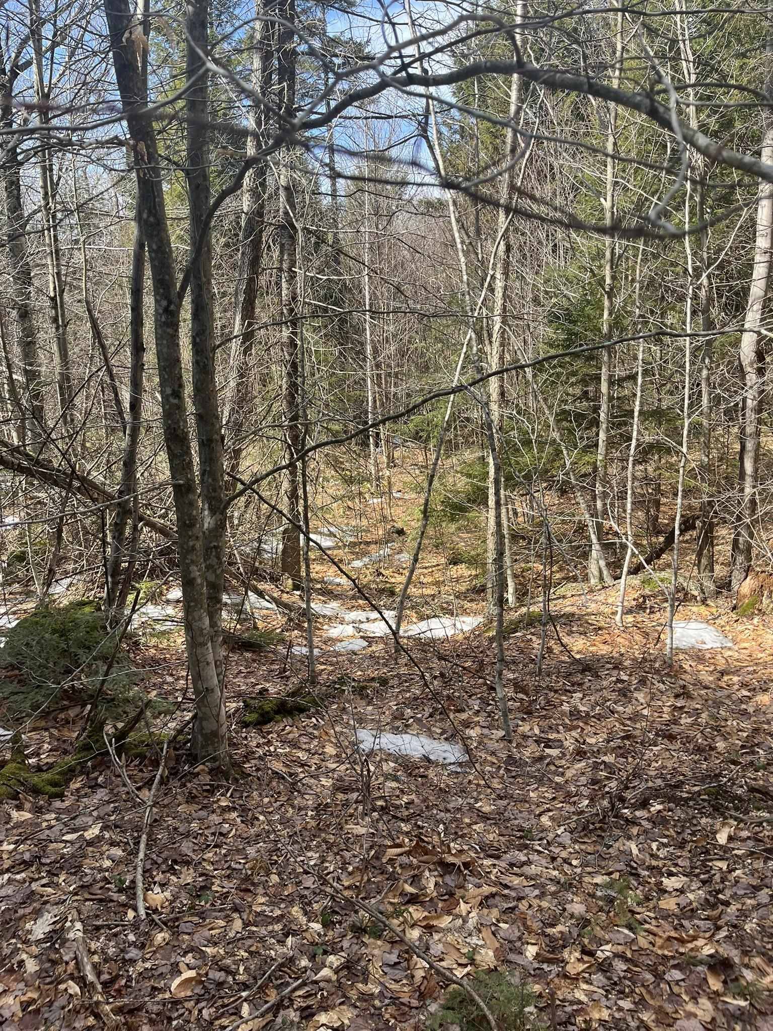 East Washington RD #Lots 77-6 & 77-7, Washington, NH 03280