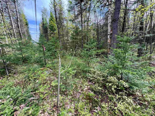 Concord, VT 05824,00 Oregon RD #Lot 1
