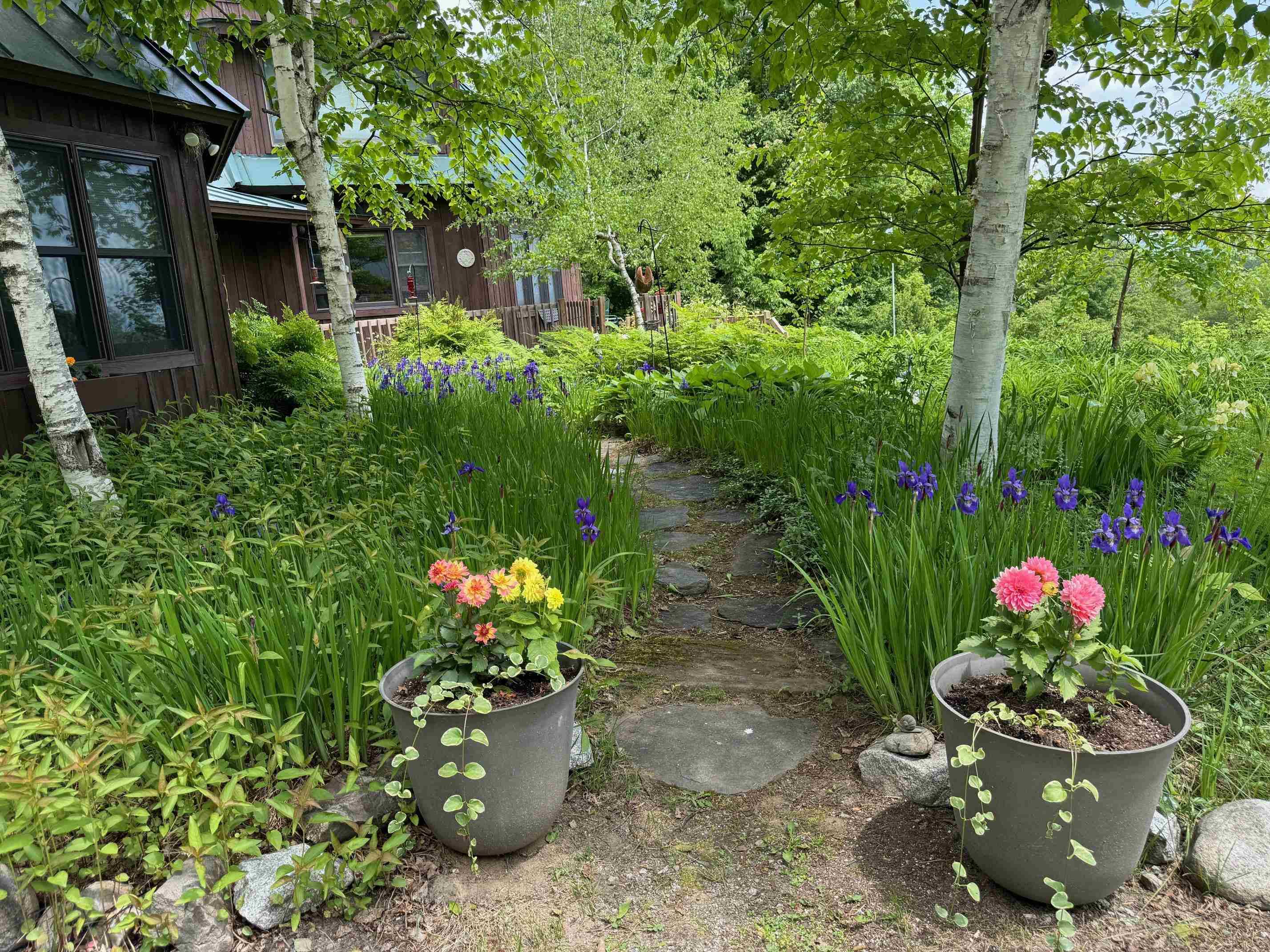 Topsham, VT 05076,133 Ben Dexter RD