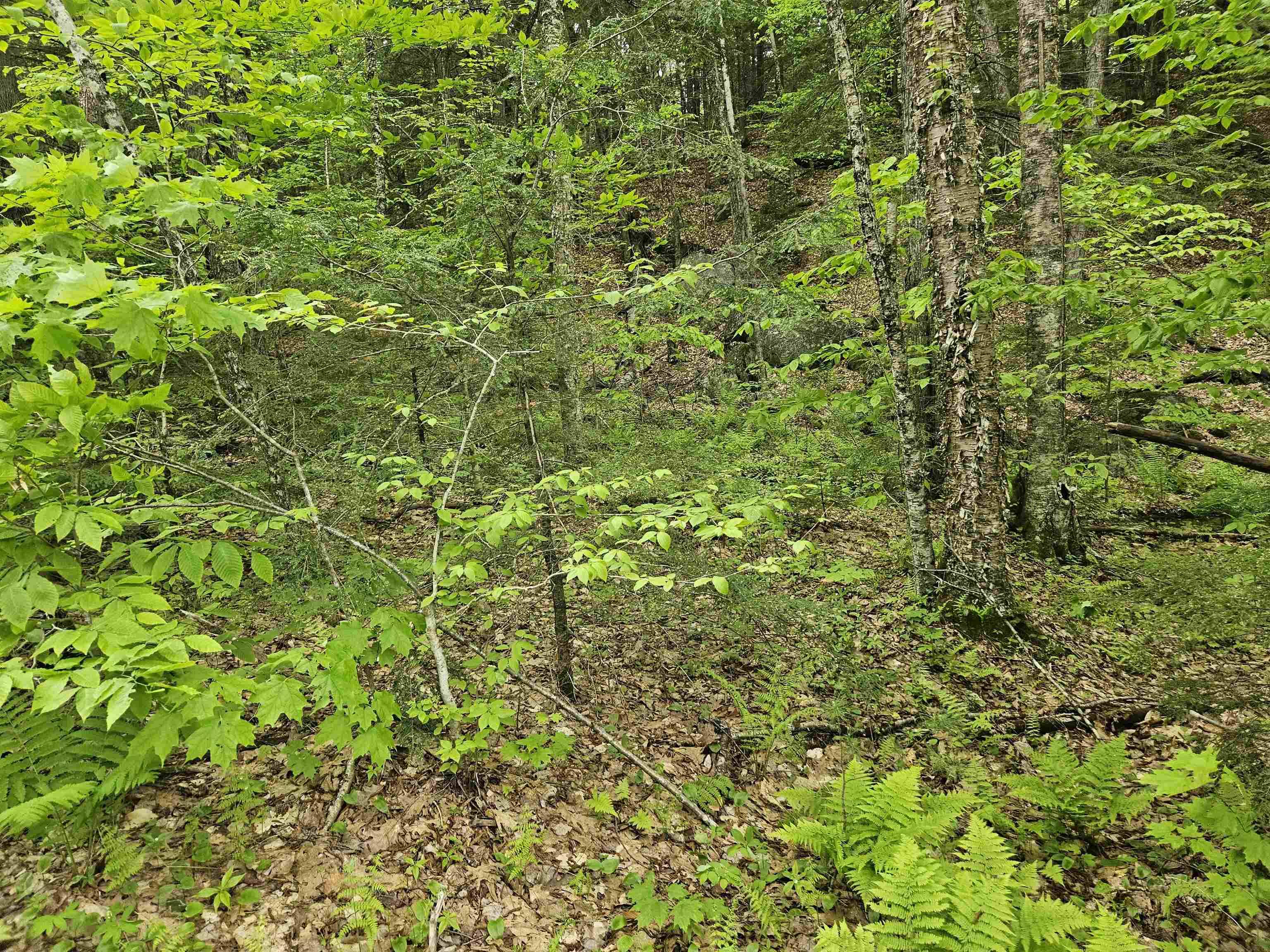 Campton, NH 03223,15-4-15 Beaver Brook RD #3