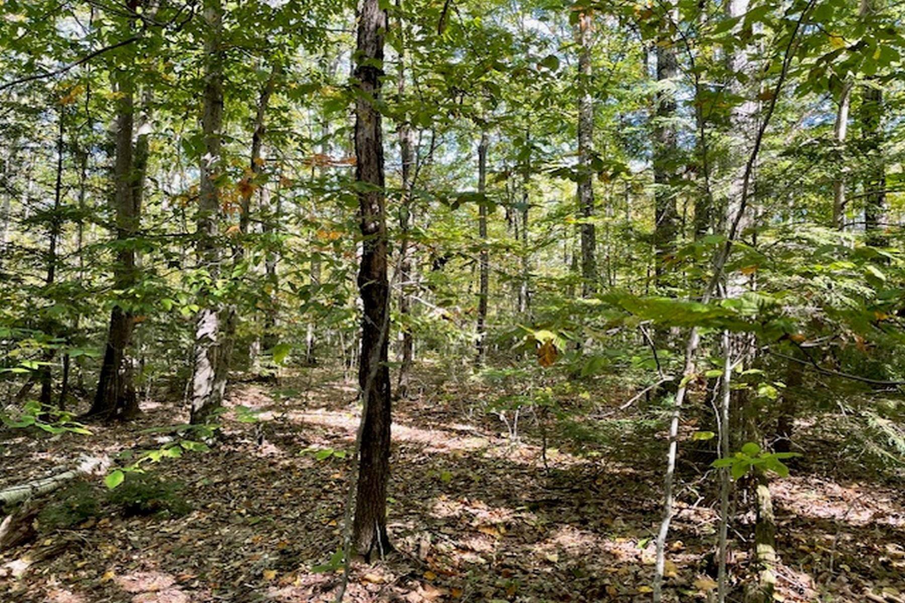 0 Route 123, Sharon, NH 03458