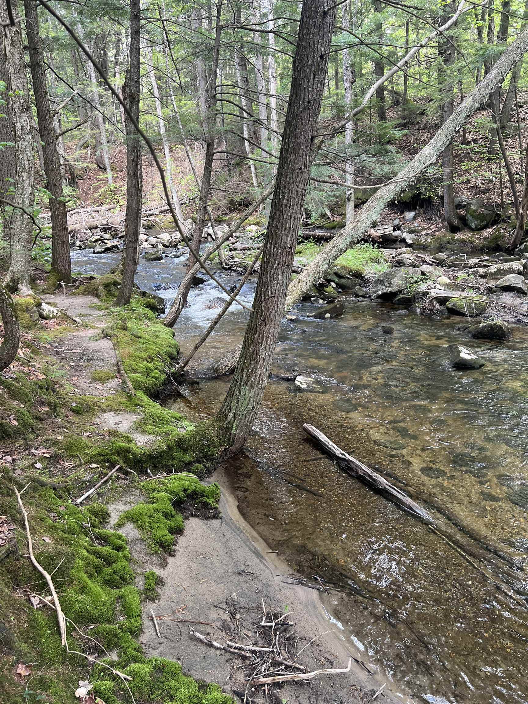 Wentworth, NH 03282,00 Cross RD #16-1-3
