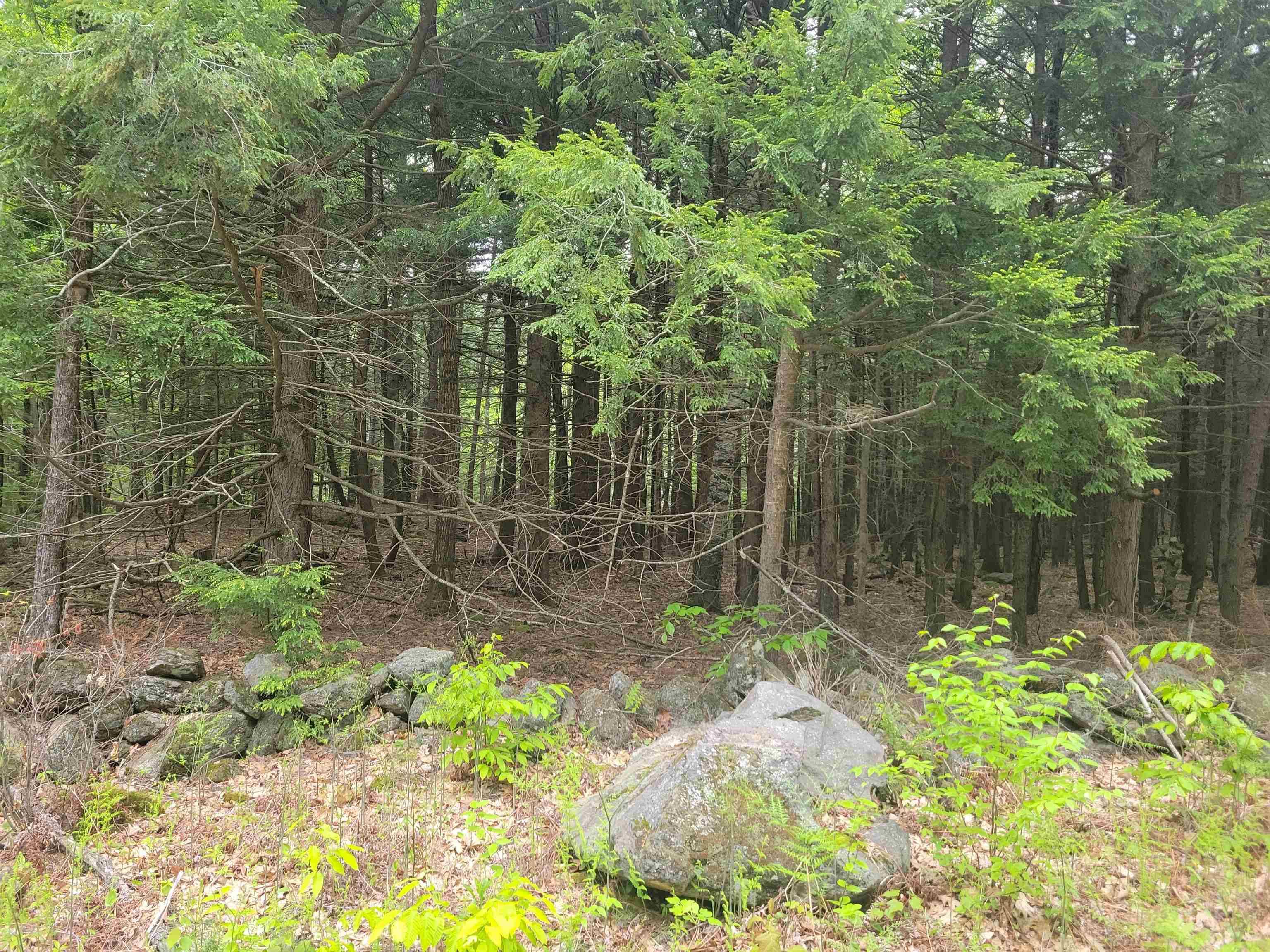 Epsom, NH 03234,L1-7 Old Turnpike RD