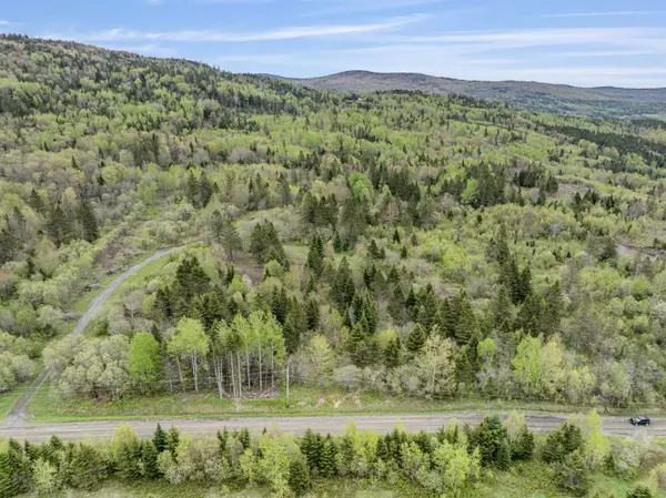 Stewartstown, NH 03576,Lot 8 Holden Hill RD
