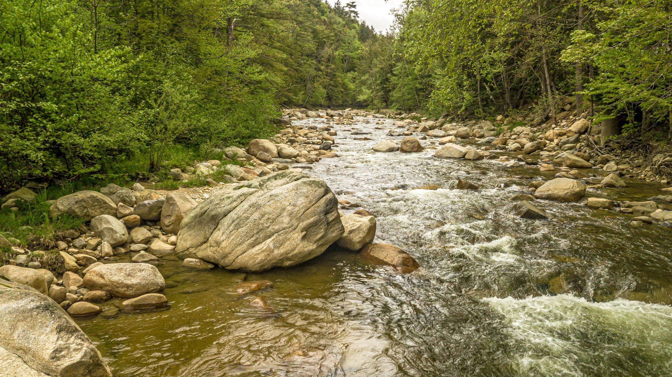 Bartlett, NH 03812,22 Waterfront RD