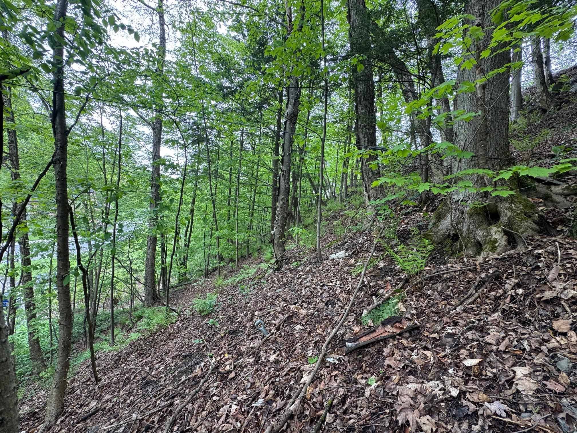 Montpelier, VT 05602,62 Northfield ST #Lot 4