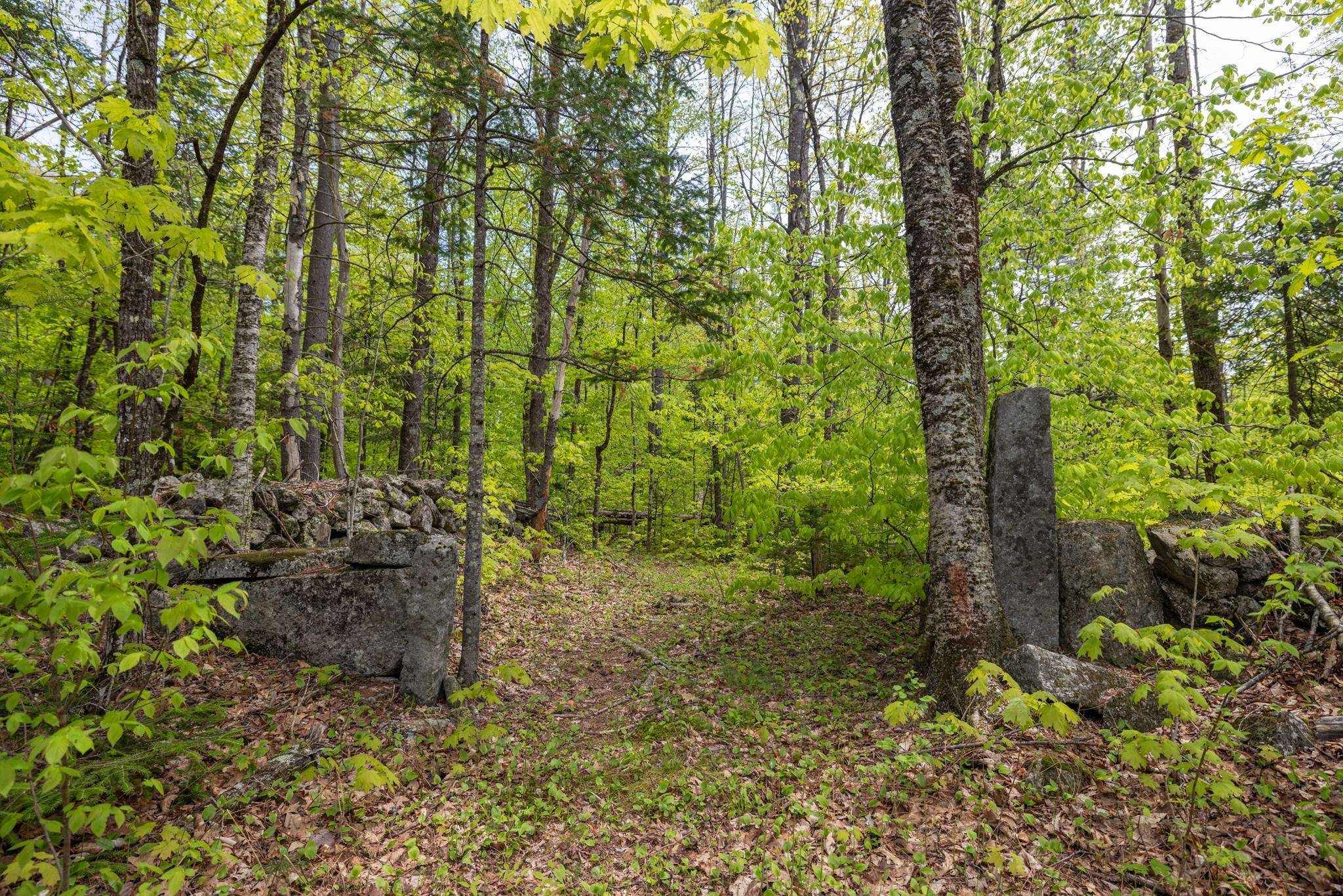 Wilmot, NH 03287,Map 7, Lot 8 Patterson RD
