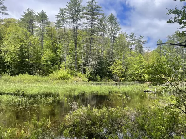 Holderness, NH 03245,US Route 3