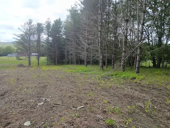 Barre Town, VT 05641,0 W. Cobble Hill RD